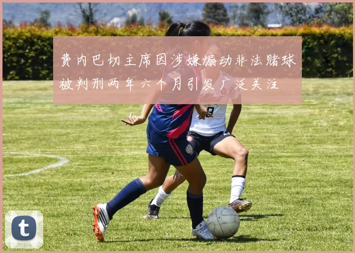 费内巴切主席因涉嫌煽动非法赌球被判刑两年六个月引发广泛关注